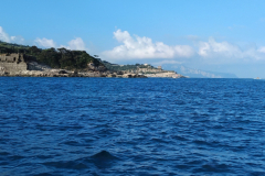IMG_20260822_075652