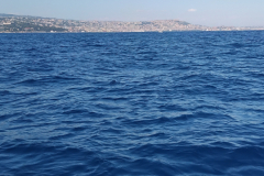 IMG_20260823_131136